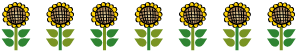sunflowers
